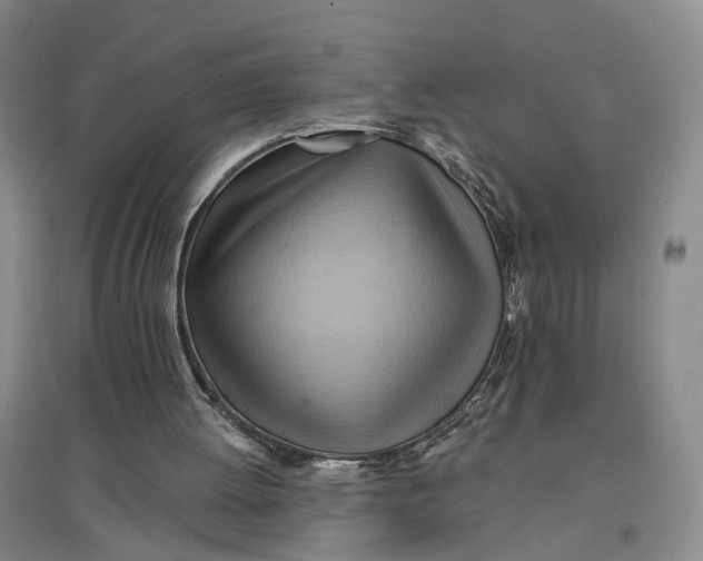 X0000096690052200802261550