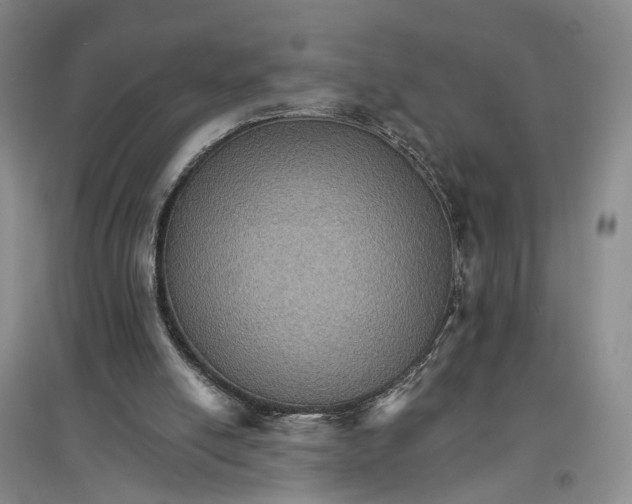 X0000096690054200802261550