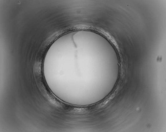 X0000096690057200802261550