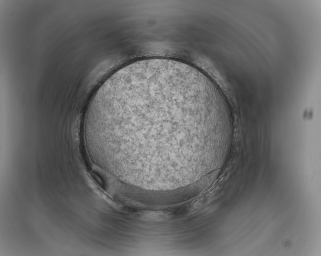 X0000096690058200802261550