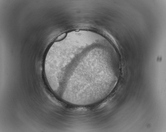 X0000096690059200802261550