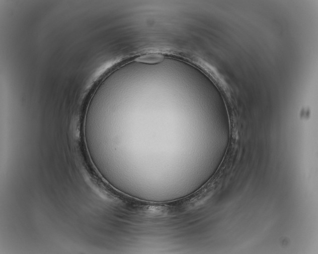 X0000096690060200802261550