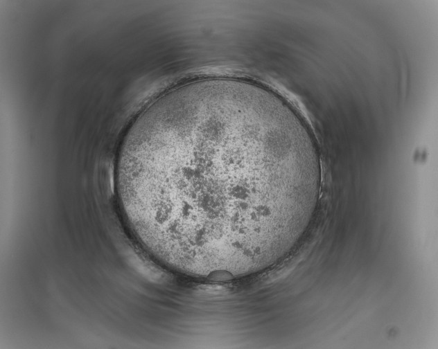 X0000096690061200802261550