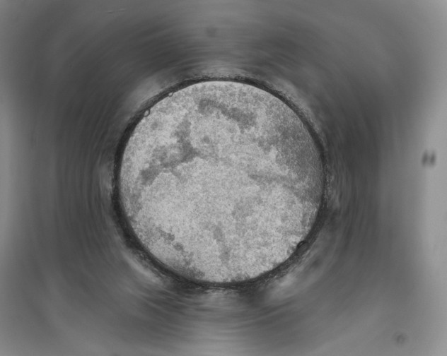 X0000096690063200802261550