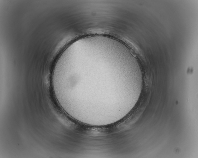 X0000096690064200802261550