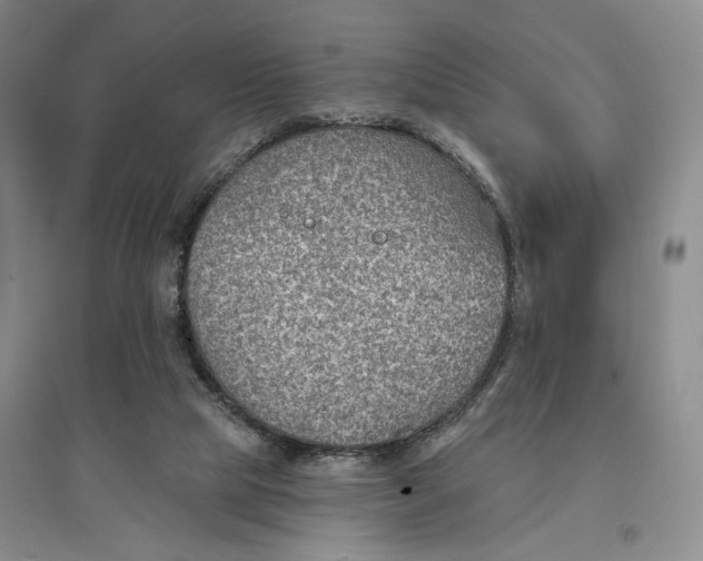 X0000096690065200802261550