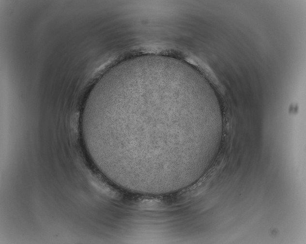 X0000096690066200802261550