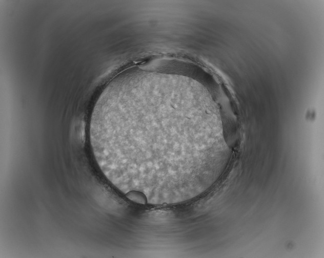 X0000096690067200802261550