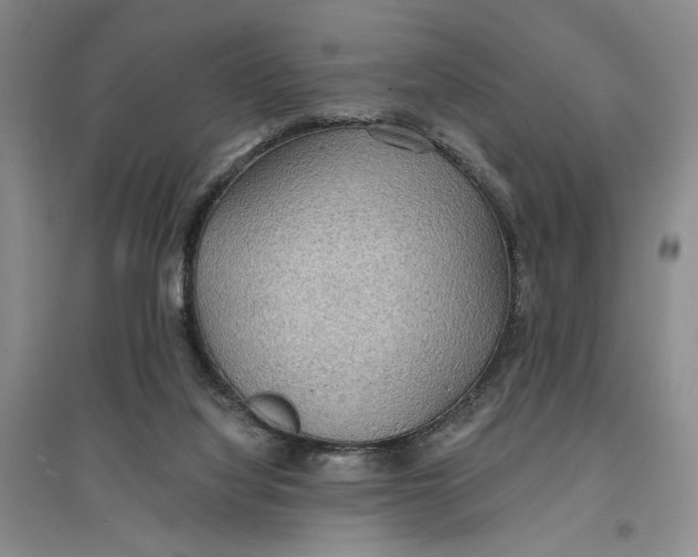 X0000096690068200802261550