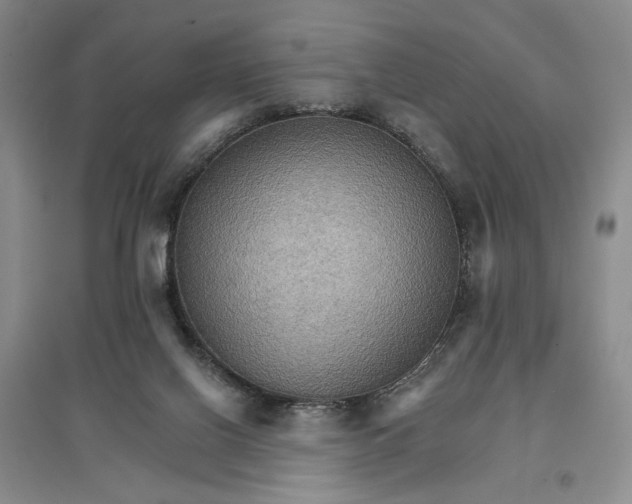 X0000096690070200802261551