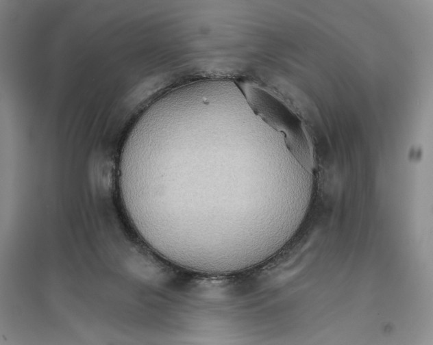 X0000096690071200802261551