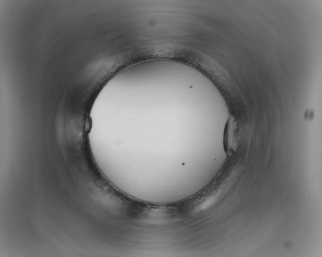 X0000096690072200802261551