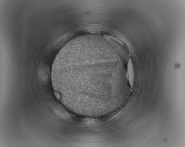 X0000096690073200802261551