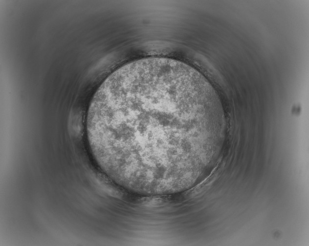 X0000096690074200802261551