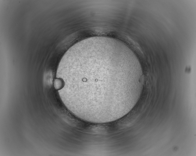 X0000096690075200802261551