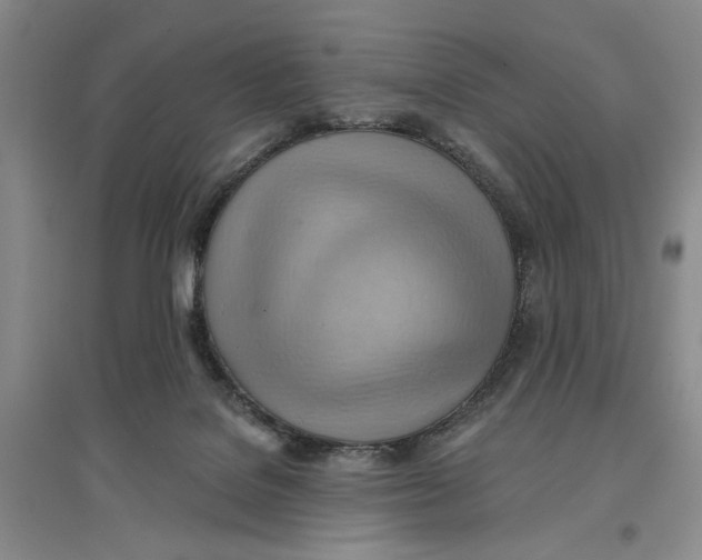 X0000096690076200802261551