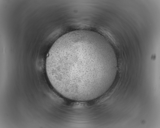 X0000096690077200802261551