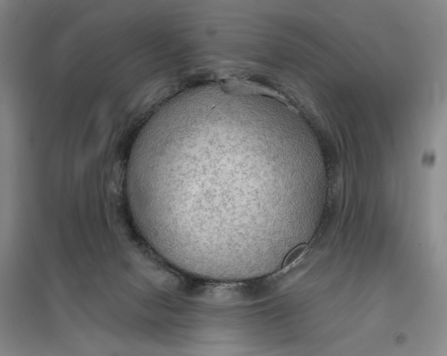 X0000096690078200802261551