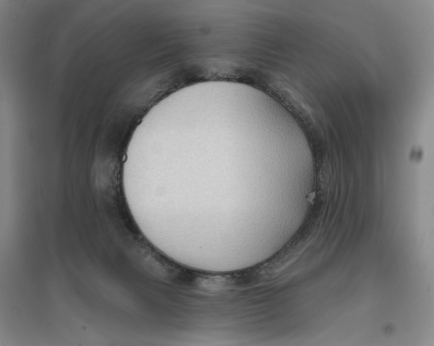 X0000096690079200802261551