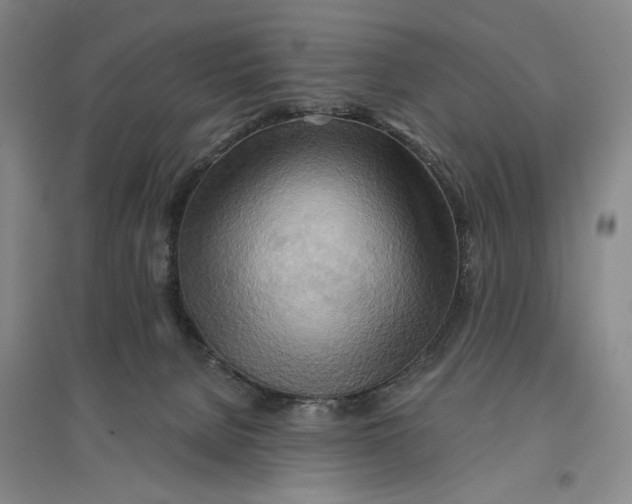 X0000096690080200802261551