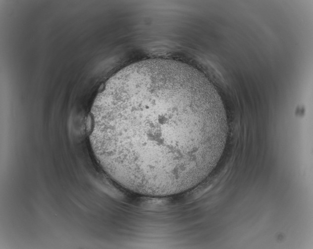 X0000096690081200802261551