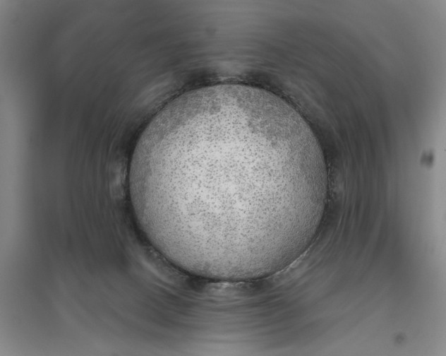 X0000096690082200802261551