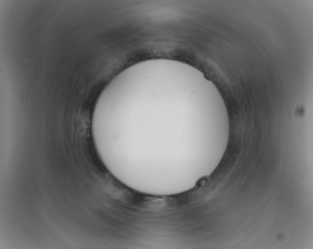 X0000096690083200802261551