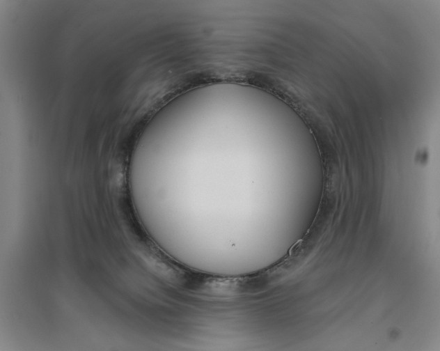 X0000096690084200802261551