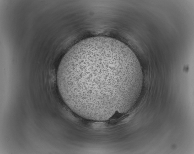 X0000096690085200802261551