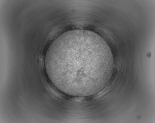 X0000096690086200802261551