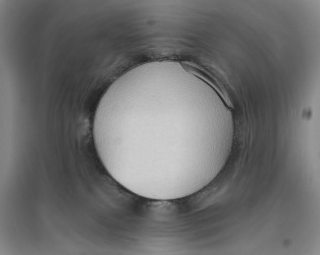 X0000096690087200802261551