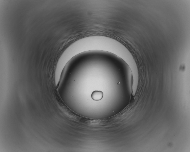 X0000096690088200802261551