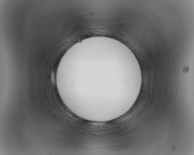 X0000096690089200802261551