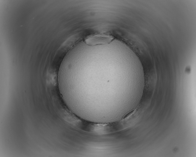 X0000096690090200802261551