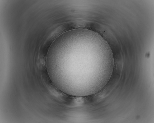 X0000096690091200802261551