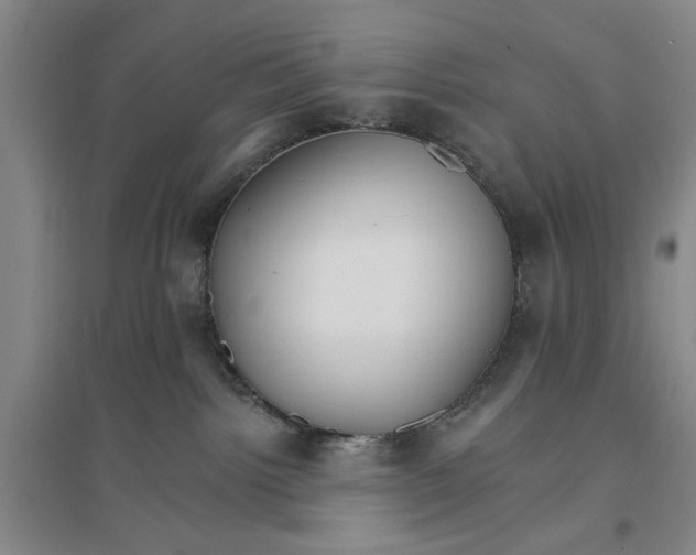 X0000096690092200802261551