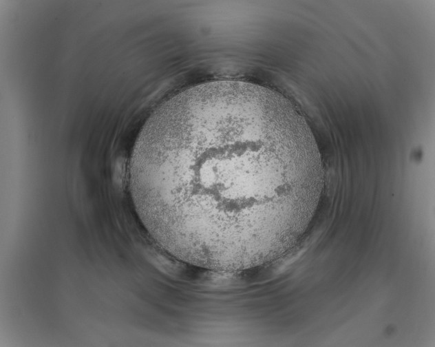 X0000096690093200802261551