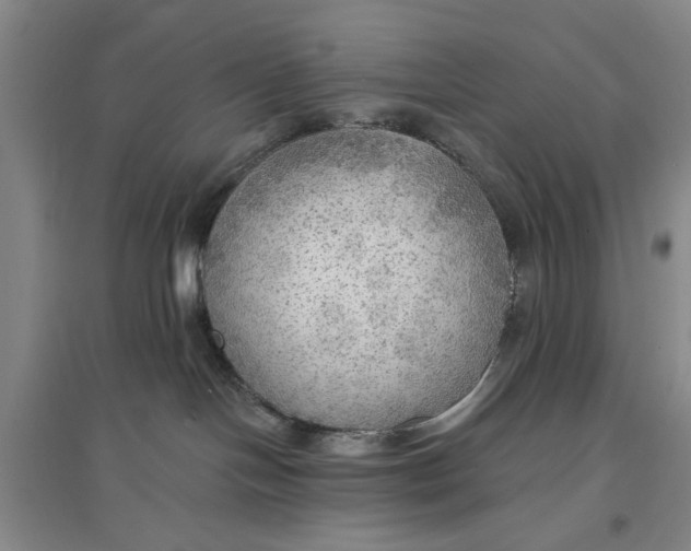 X0000096690094200802261551