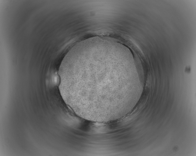 X0000096690095200802261551