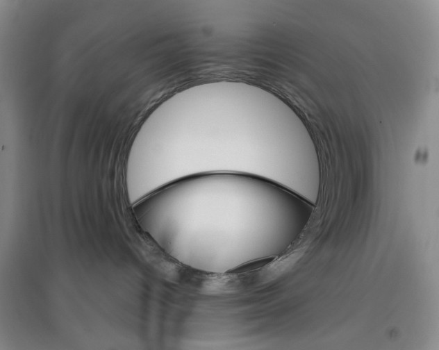 X0000096690096200802261551