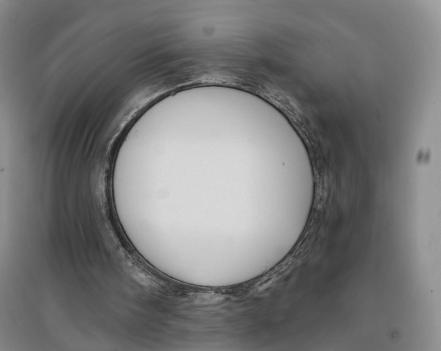 X0000096690098200802261550