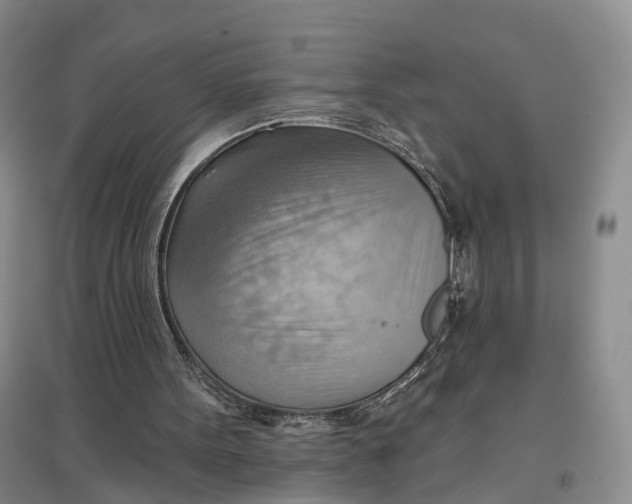 X0000096690099200802261550