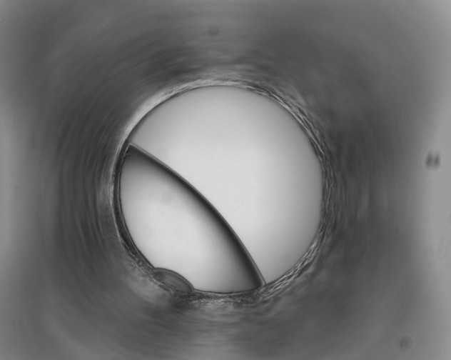 X0000096690100200802261550