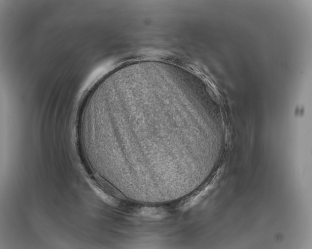 X0000096690101200802261550