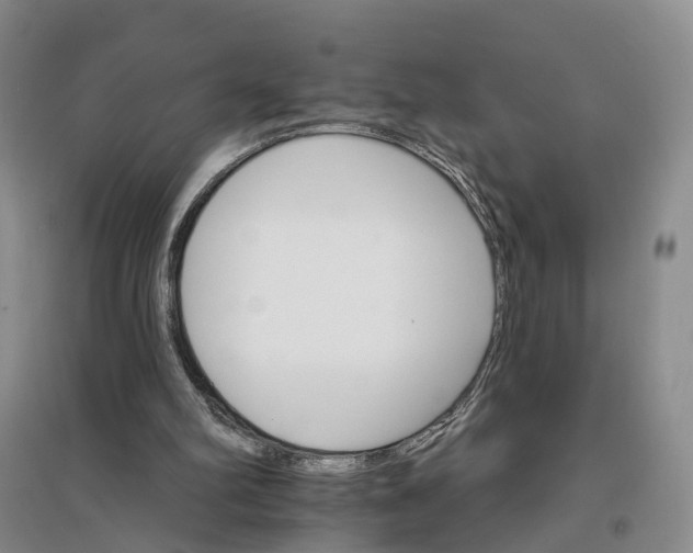 X0000096690102200802261550