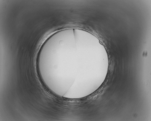 X0000096690103200802261550