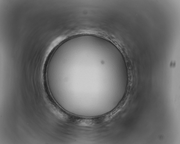 X0000096690104200802261550