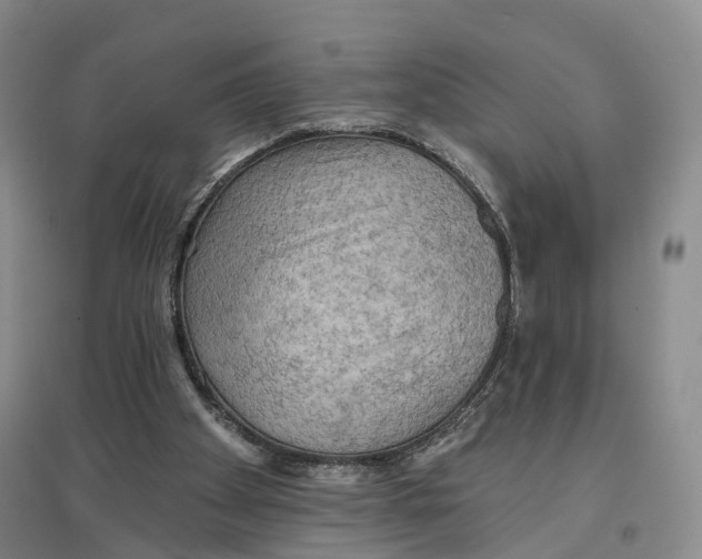 X0000096690105200802261550