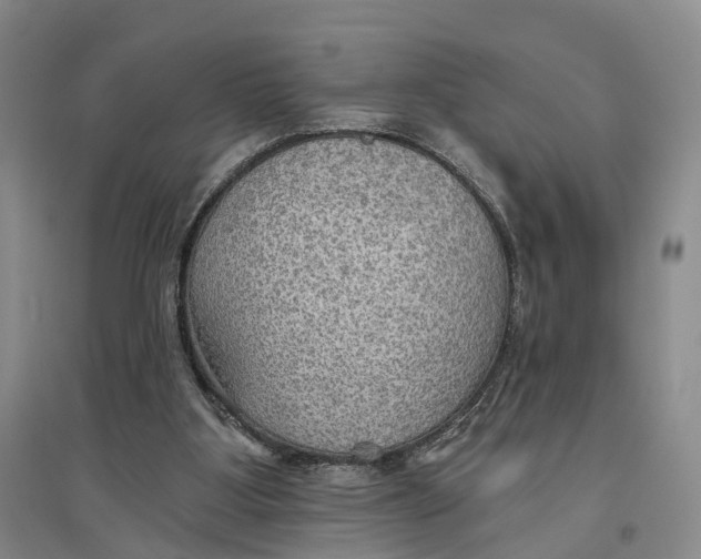 X0000096690107200802261550