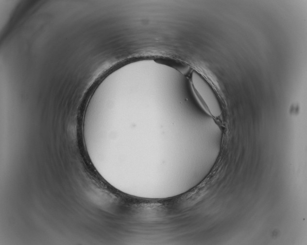 X0000096690108200802261550